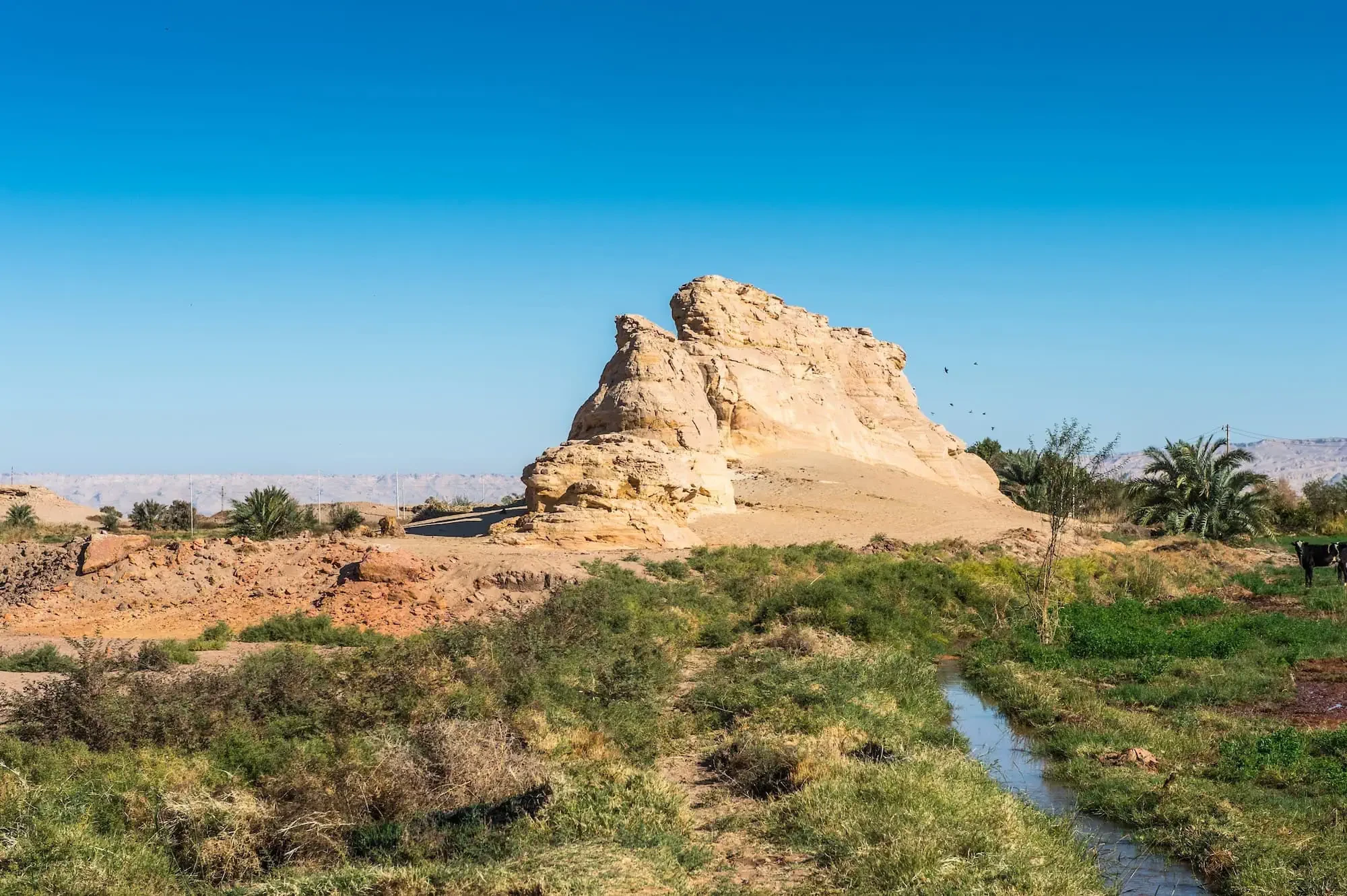 Dakhla Oasis in Egypt's Western Desert
