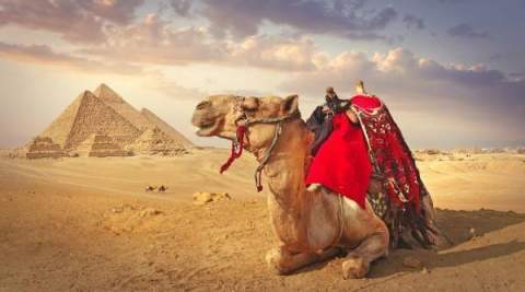 Luxury tour From Marsa Alam 4 day by Flight Cairo, Aswan, Abu Simbel, Edfu, Kom Ombo and Luxor
