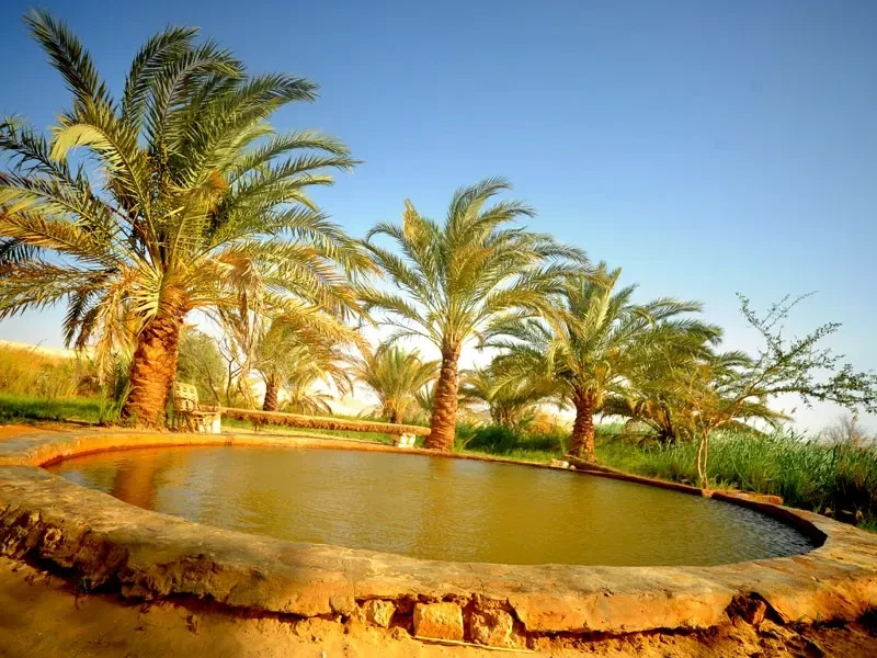 Explore White Desert on a luxury trip